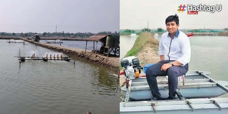 Aqua Farmers