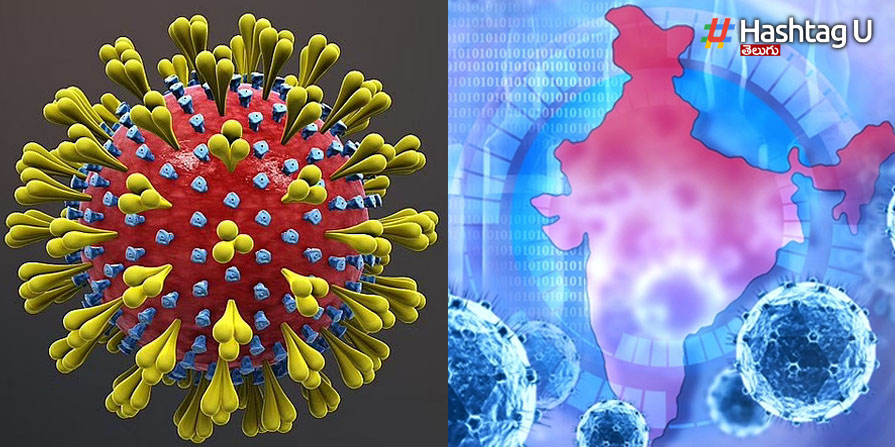Corona Virus
