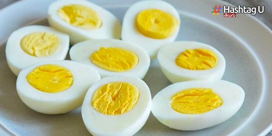 Egg