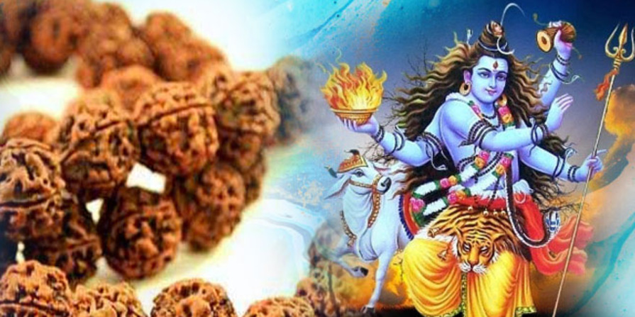 Shivaratri Rudraksha Imresizer