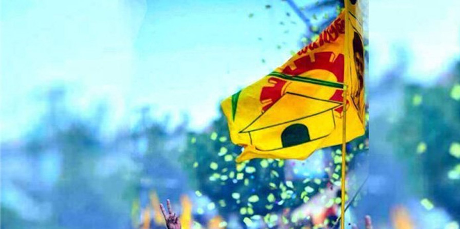 Tdp Flag