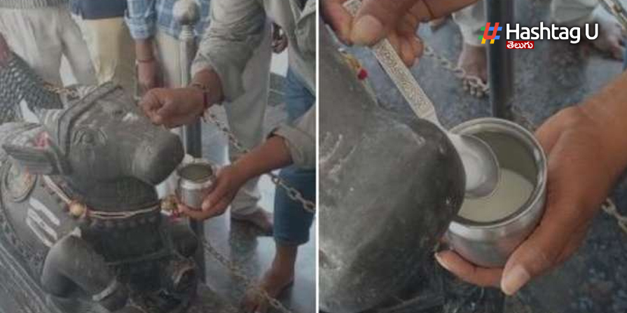 Nandi Milk