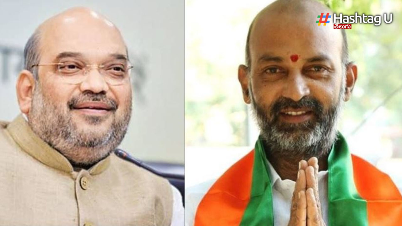 BJP CM