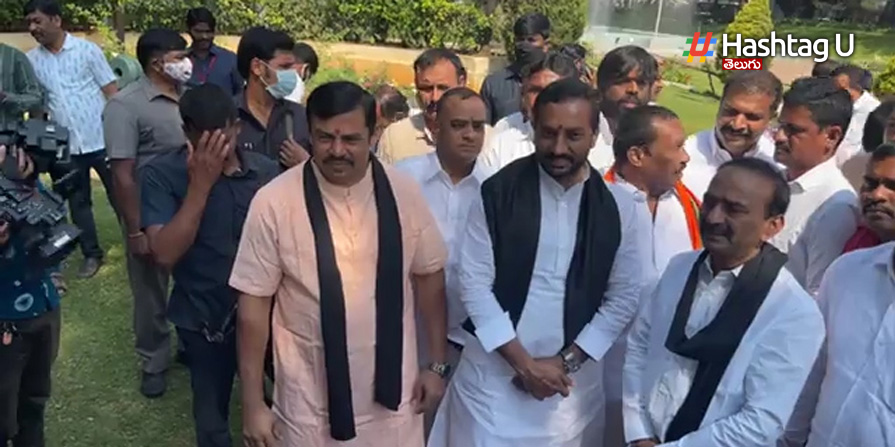 Bjp Mlas