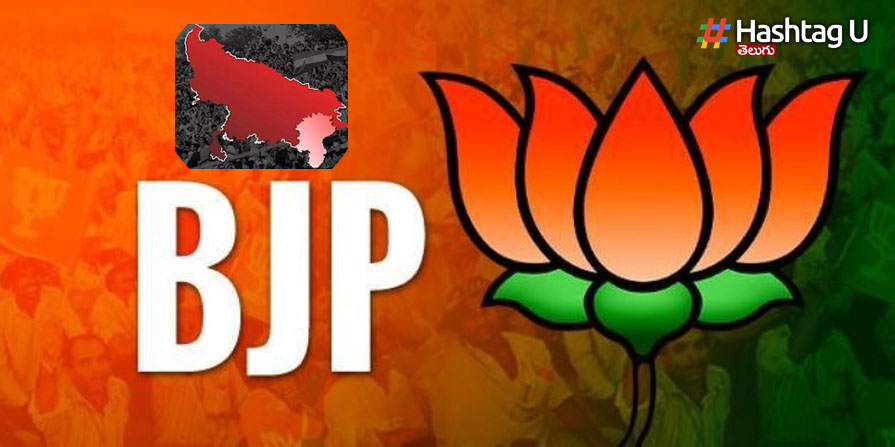 Bjp