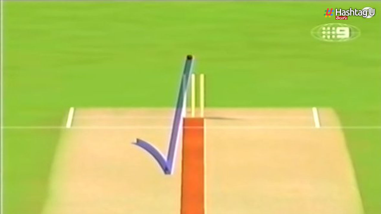 Cricket