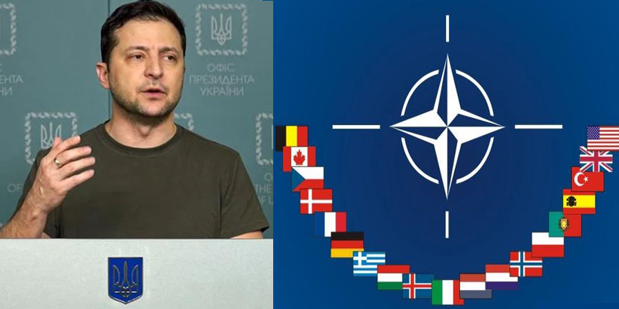 Nato Ukrain Zelenskyy