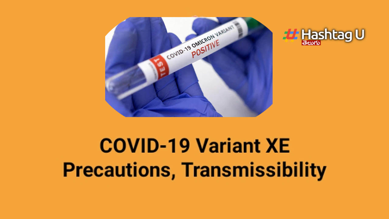 Covid Variant Xe