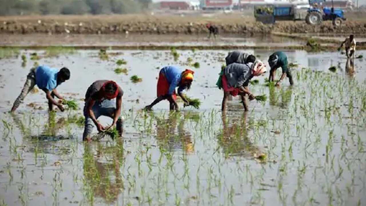 PM Kisan Mandhan Yojana