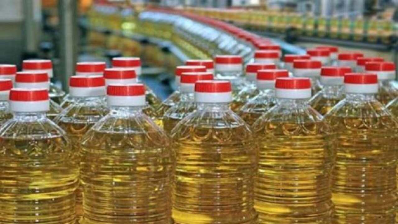 Palm Oil
