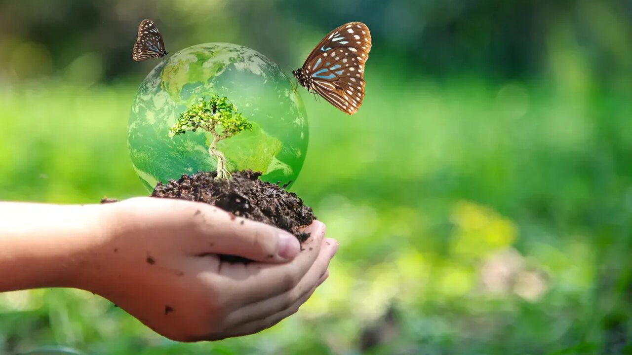 Biodiversity