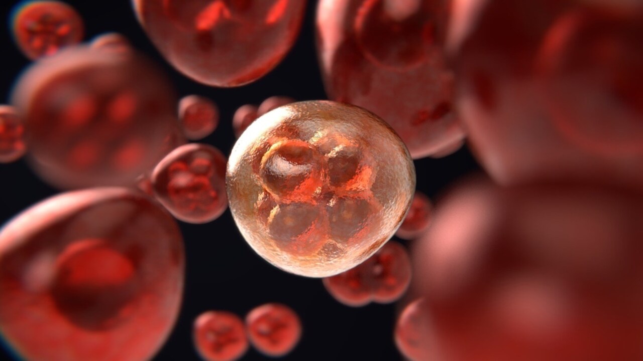 Cancer Killing Virus