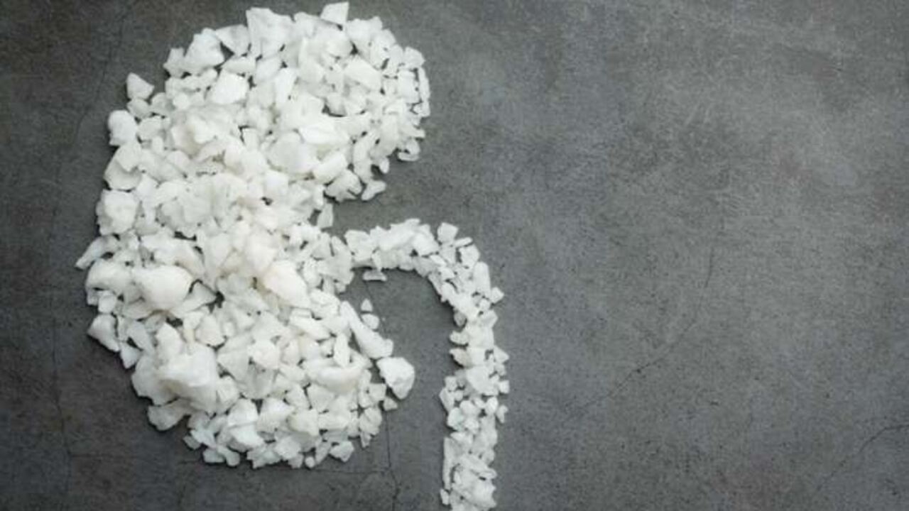 Excess Salt Kidney