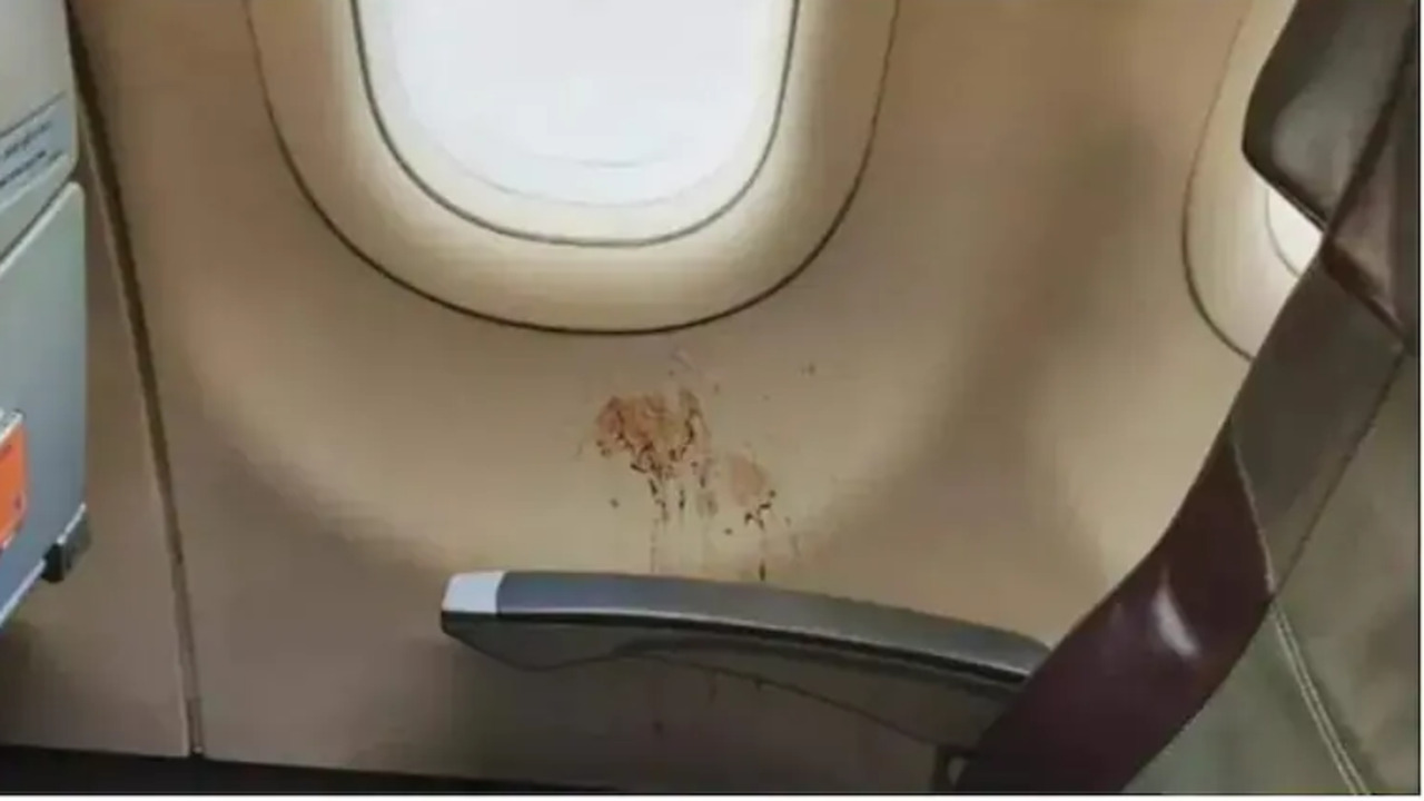 Gutka Stain