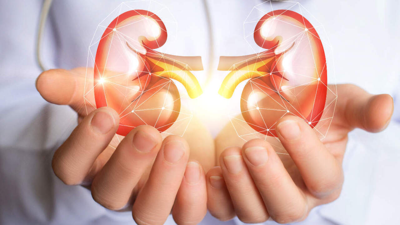 Kidney