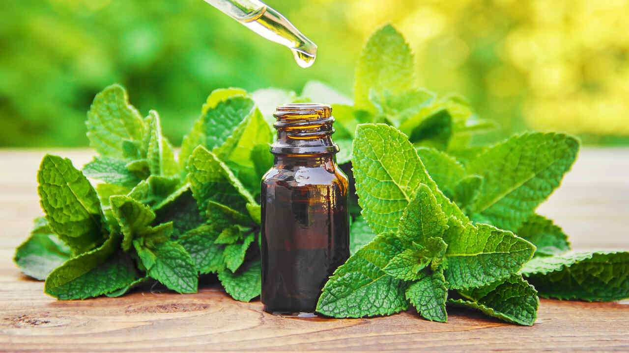 Mint Leaves Benefits
