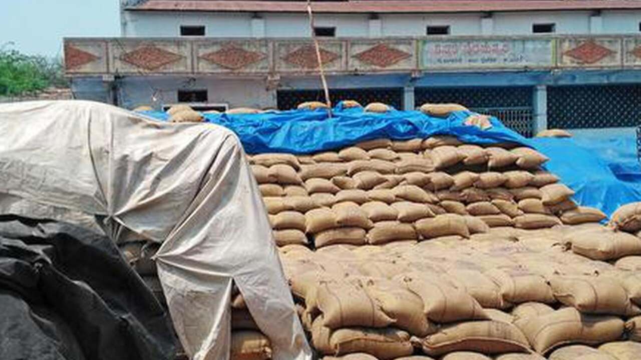 Paddy Bags