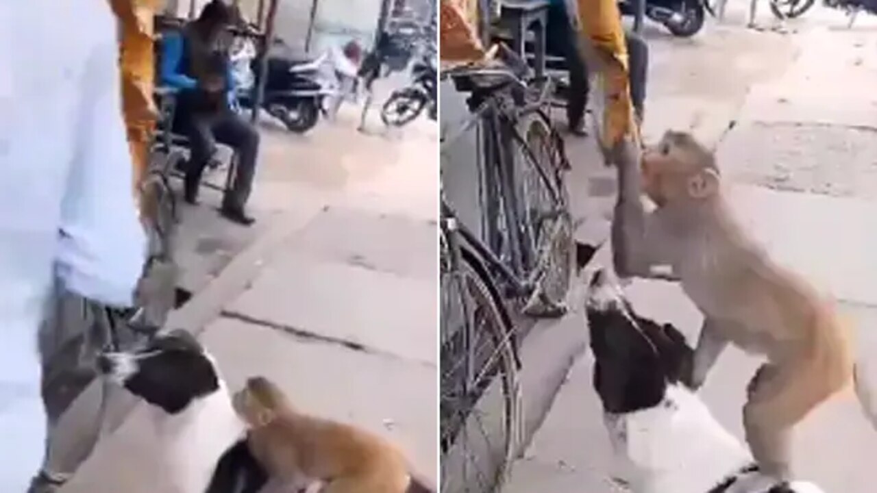 Viral