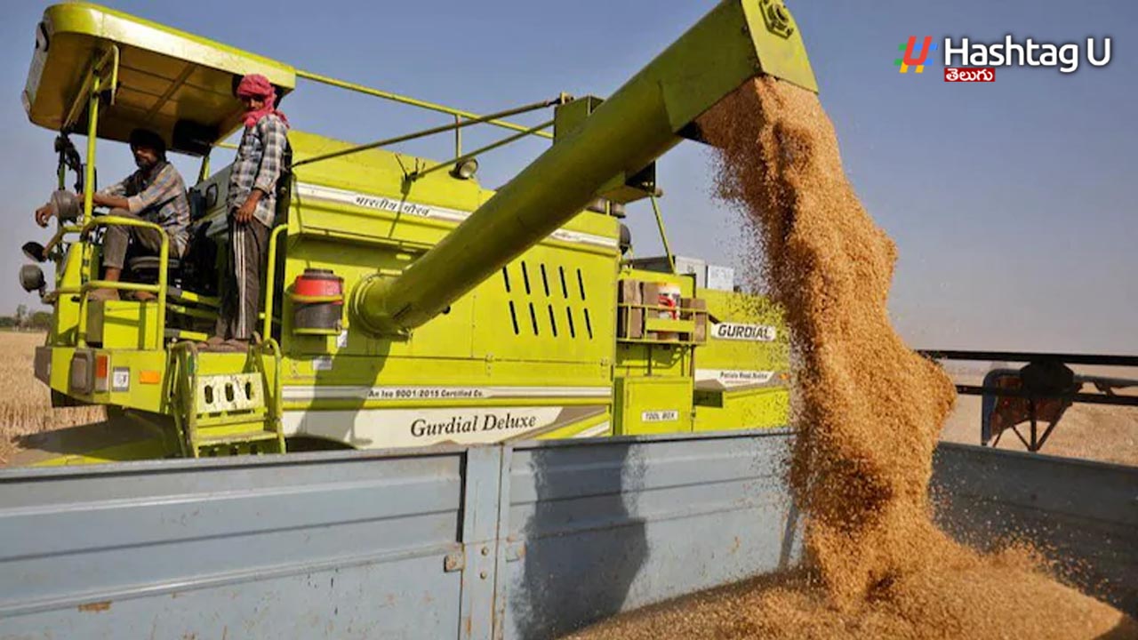 Wheat Export