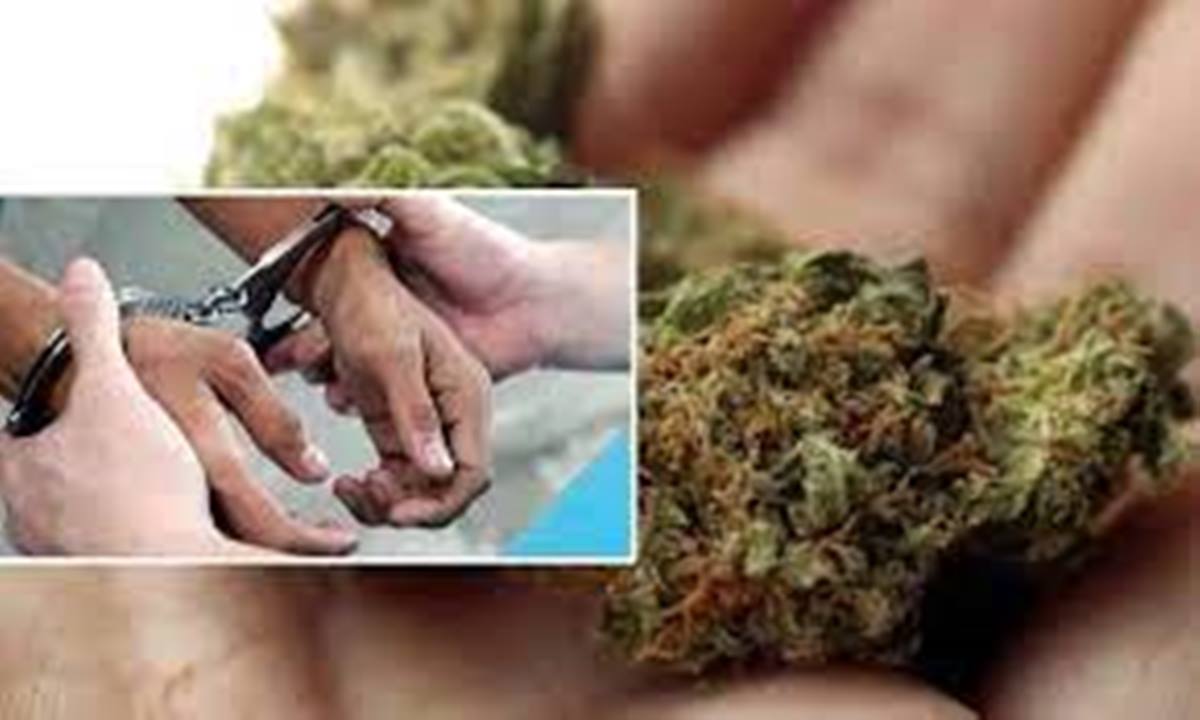 Ganja