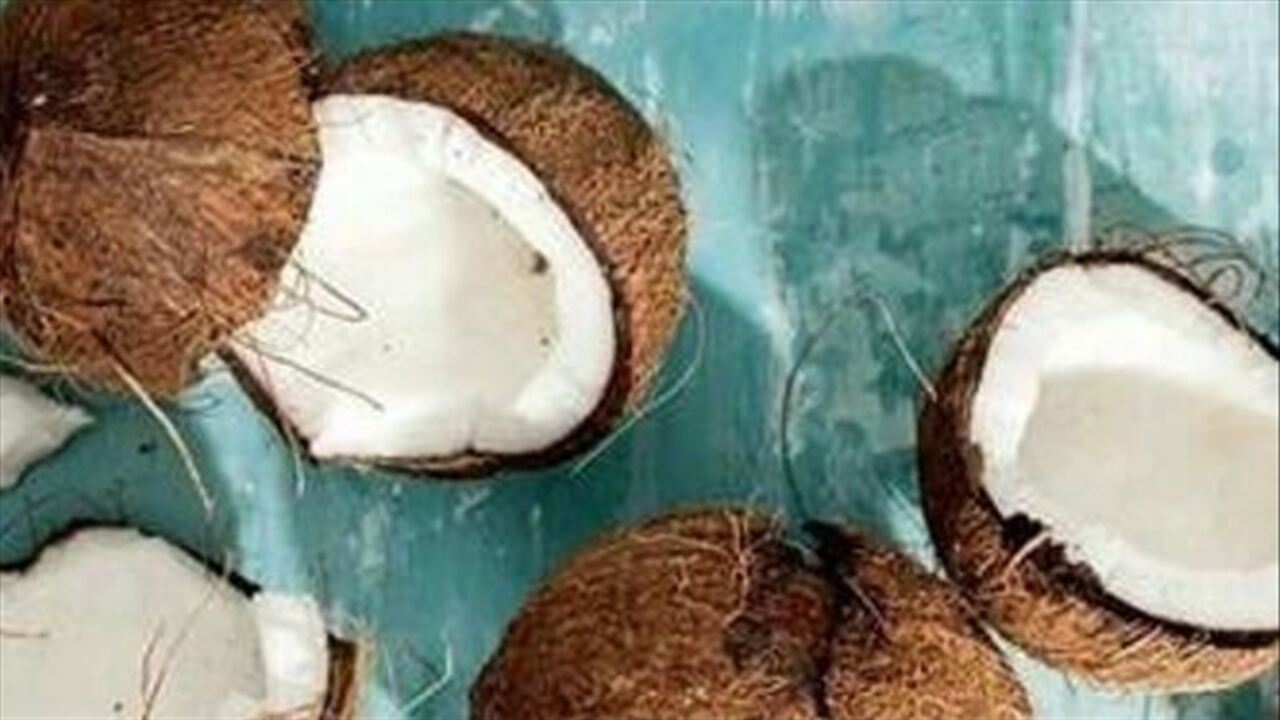 Coconut