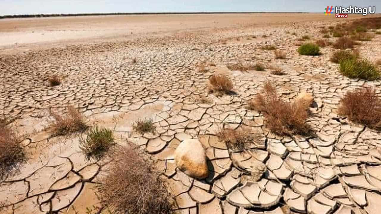 Desert