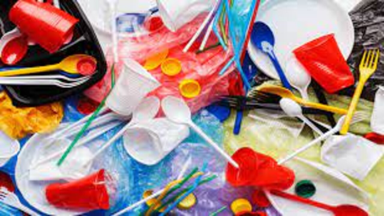 Effects Of Plastic