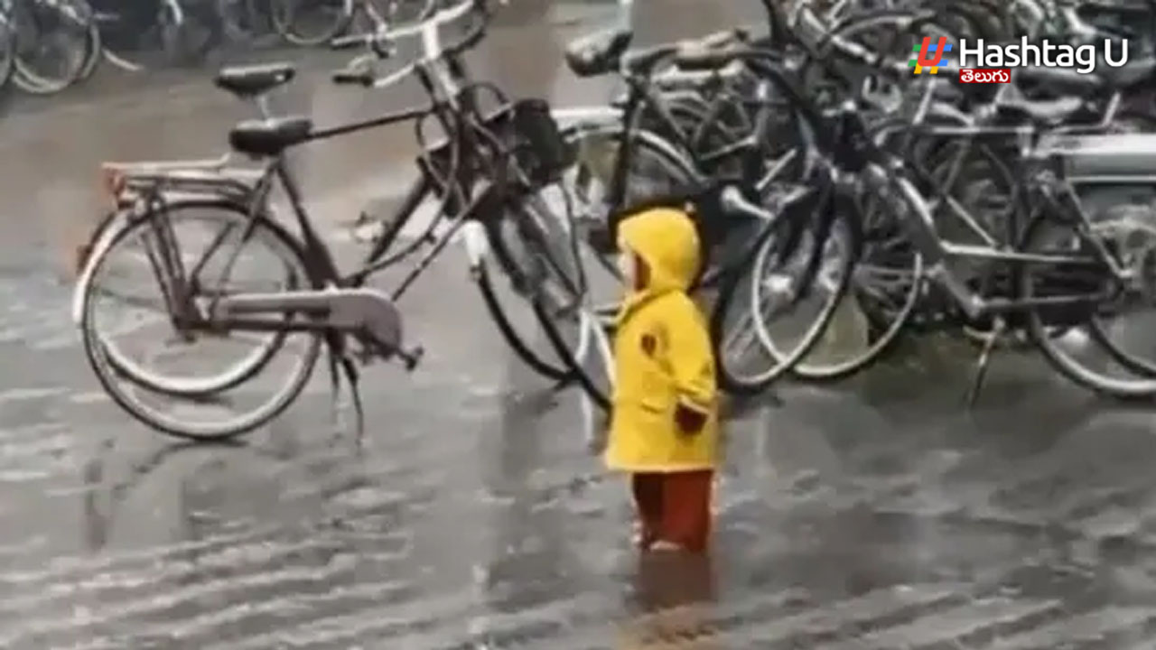 Kid Viral Video