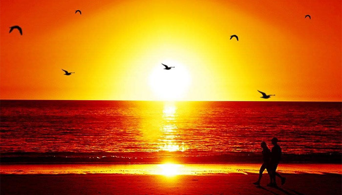 Sunset