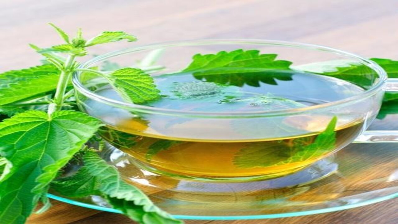 Tulsi Tea 500x500