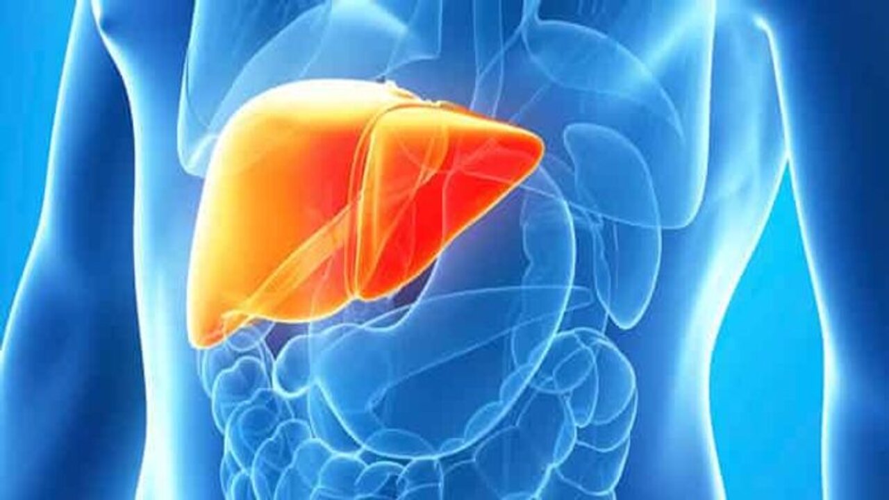 liver