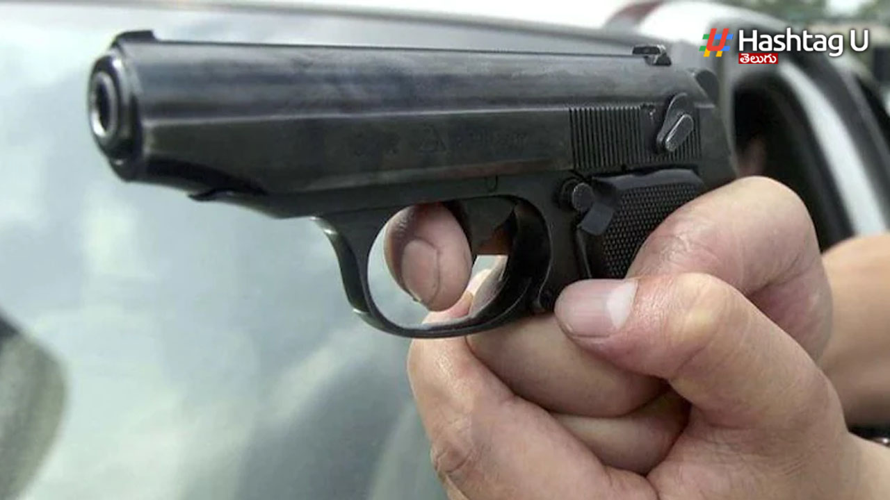 Gun