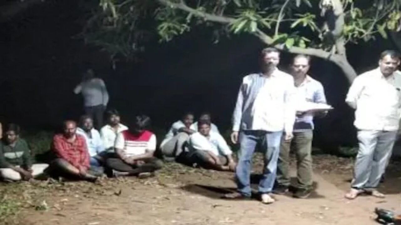 Cock Fight