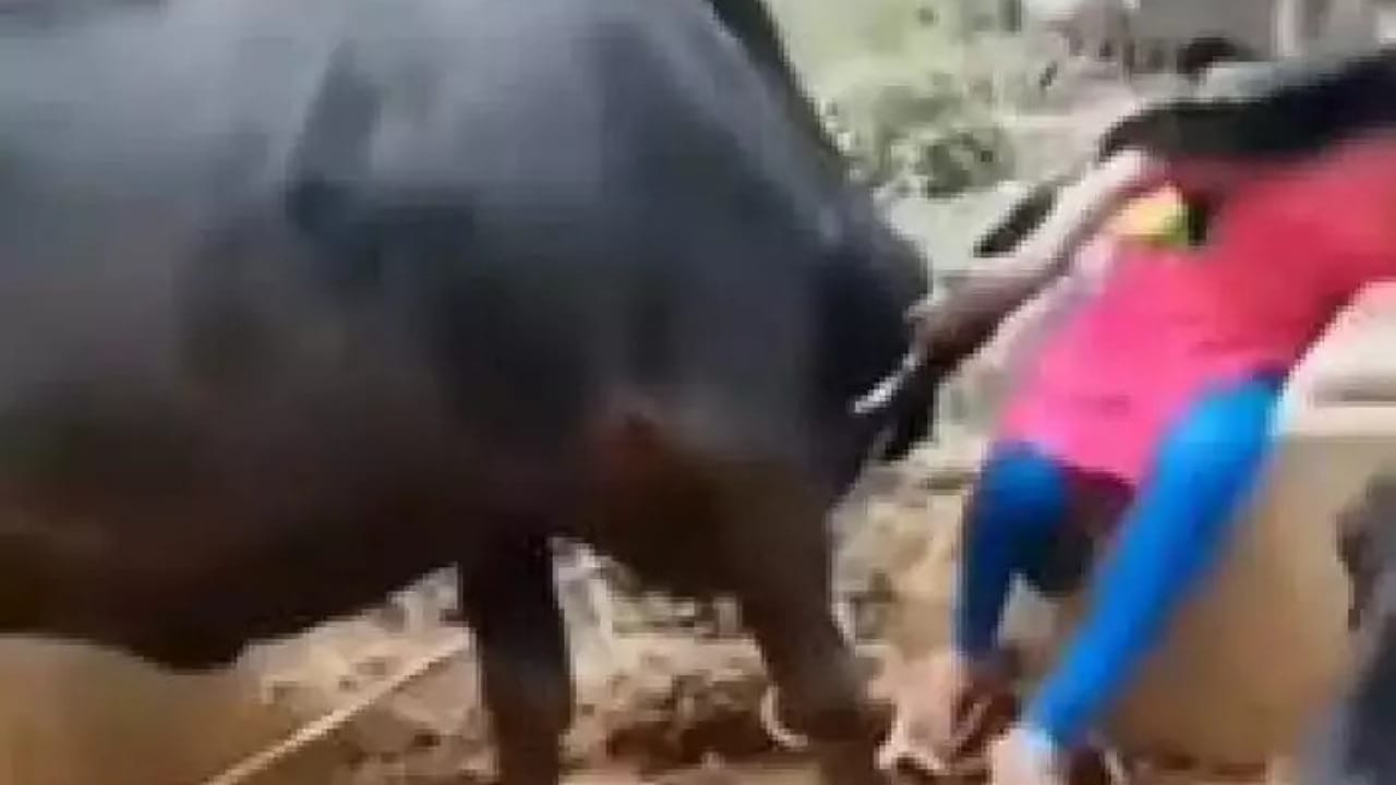 Girl Dance Video