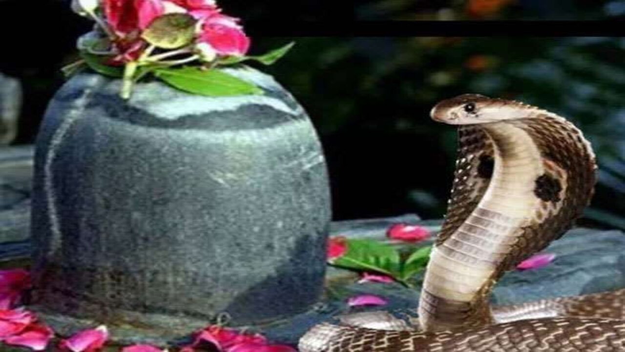 Nag Panchami