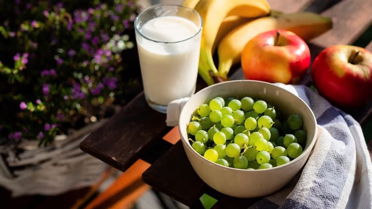 Prebiotics