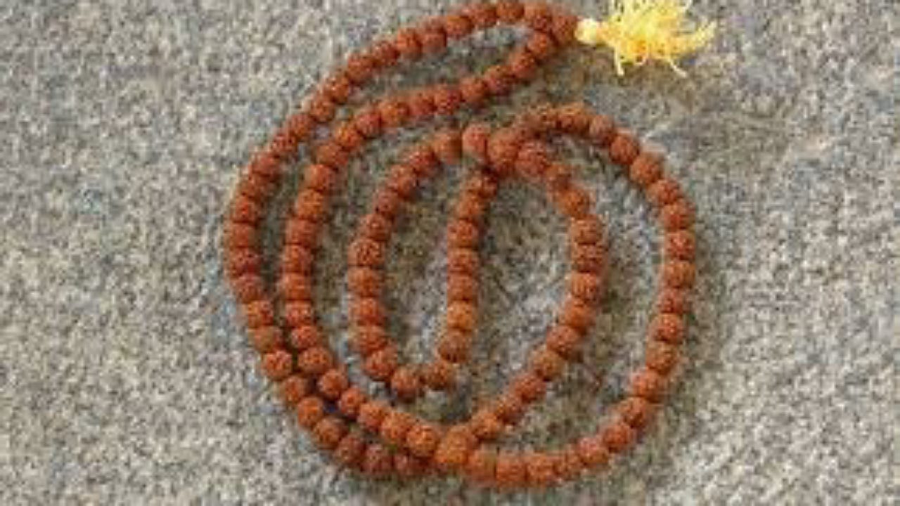 Rudraksha