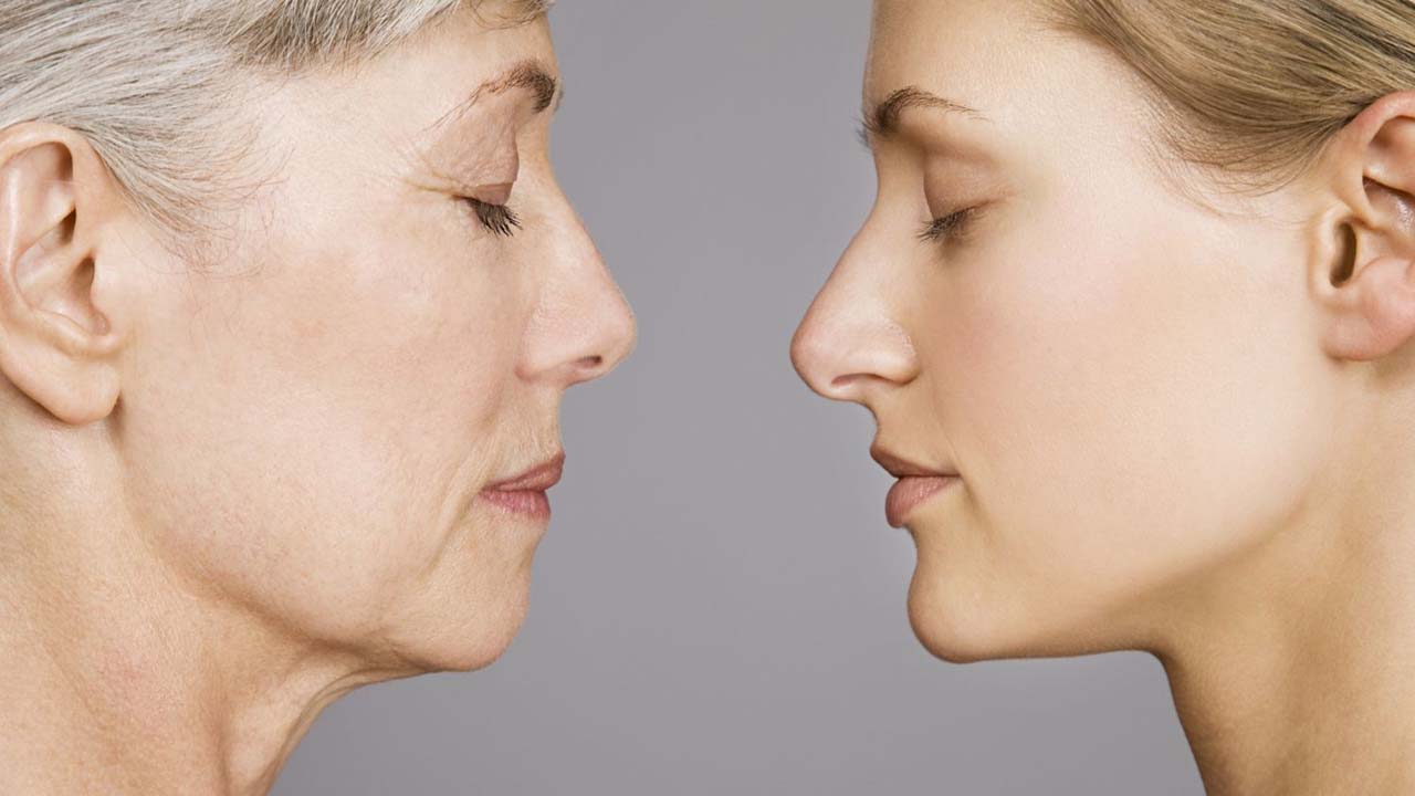 Skin Aging