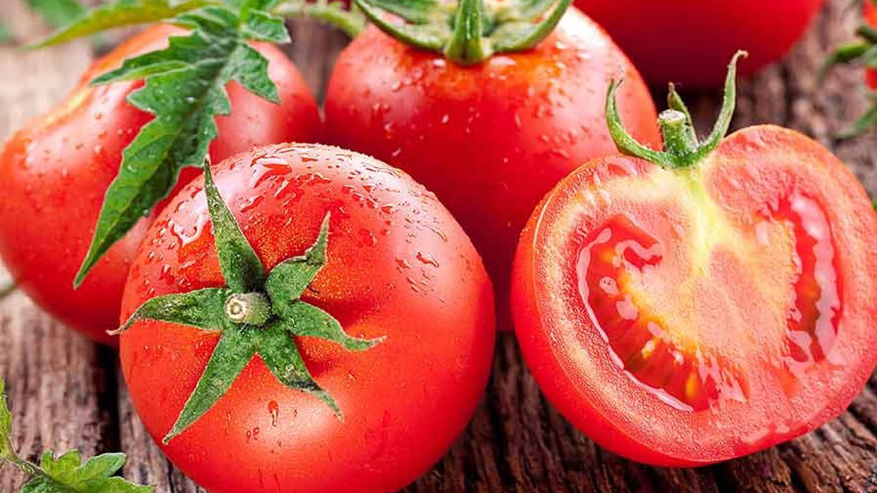 Tomato