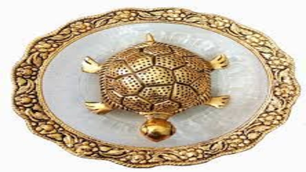 Tortoise