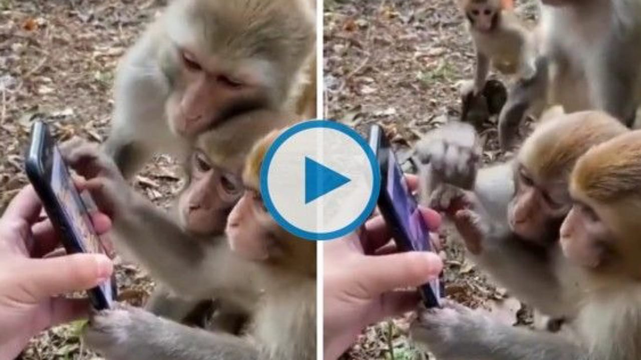 Viral Video