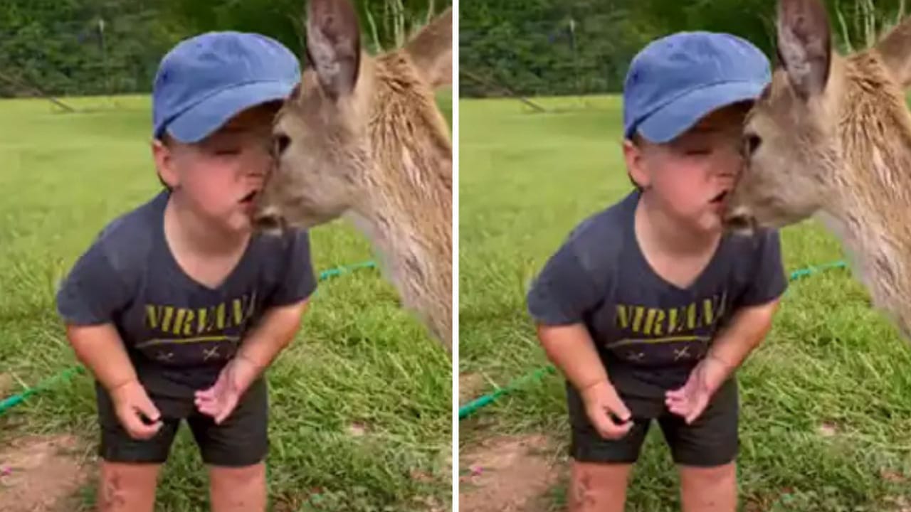 Viral Video