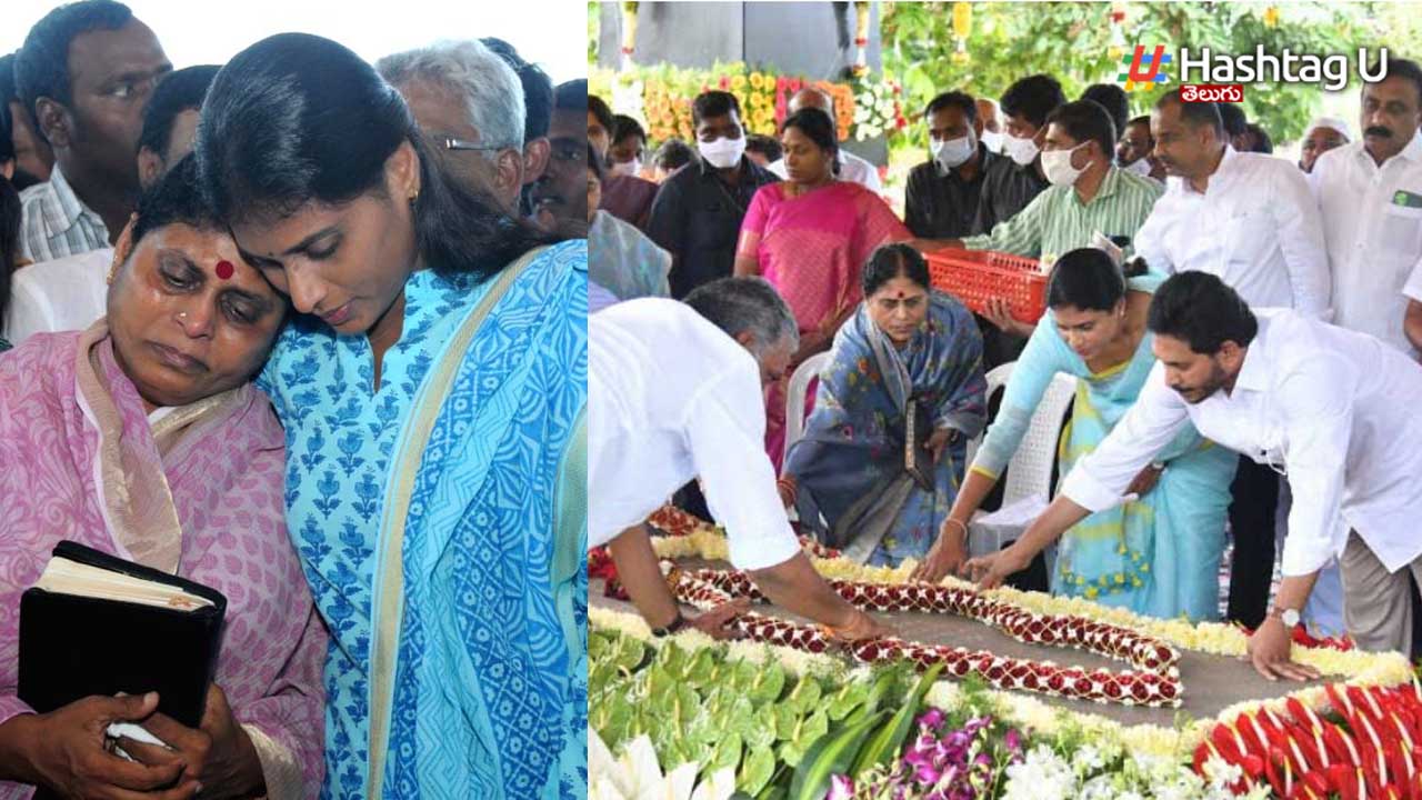 Ys Samadhi