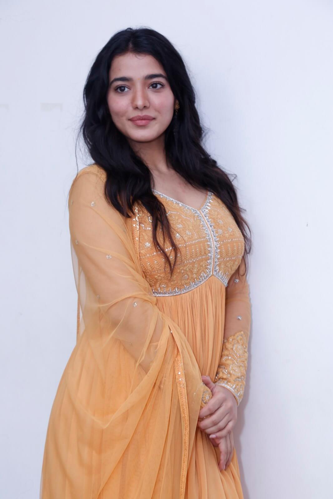 Ketika Sharma looks elegant in tradition attire