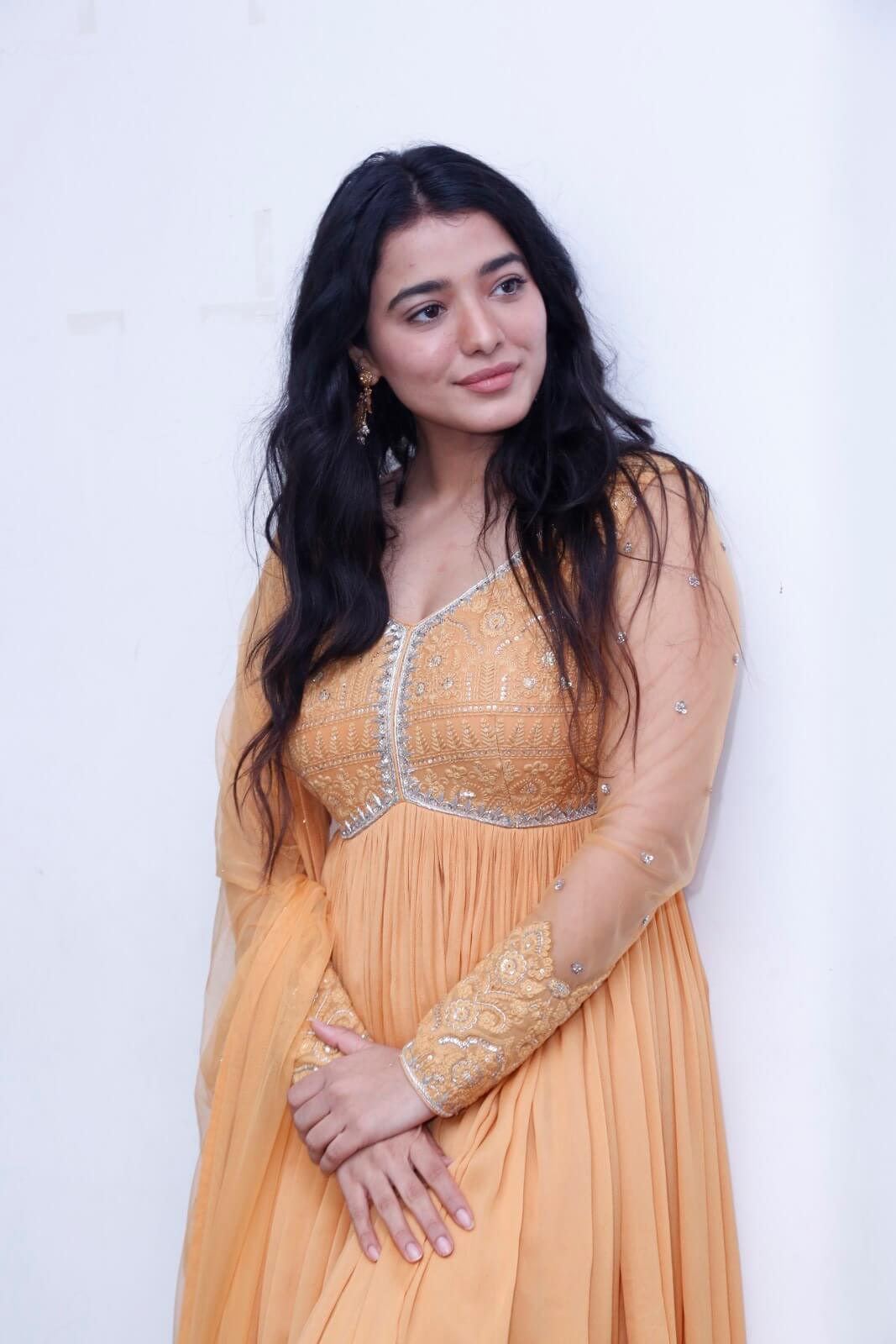 Ketika Sharma looks elegant in tradition attire