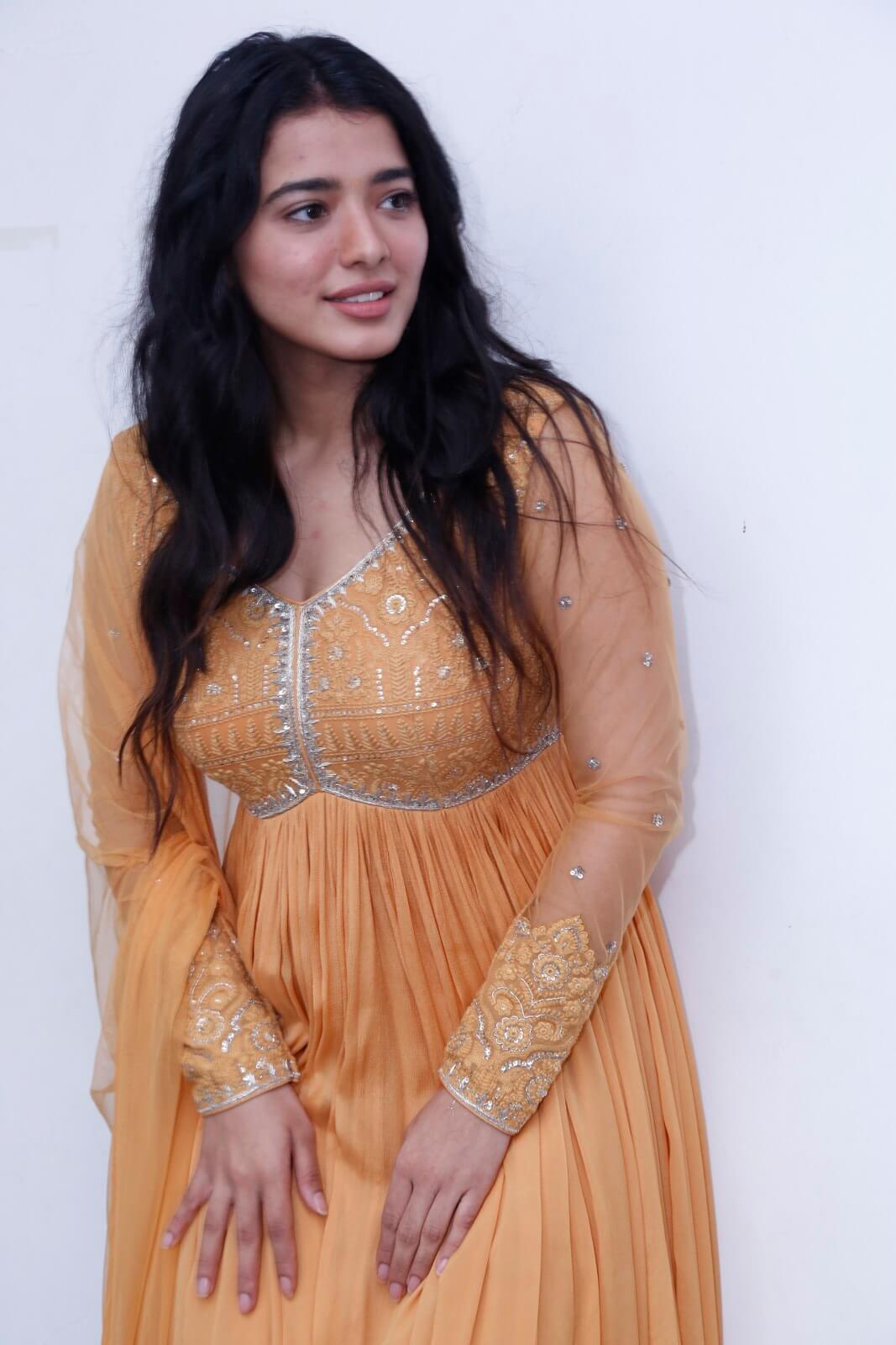 Ketika Sharma looks elegant in tradition attire