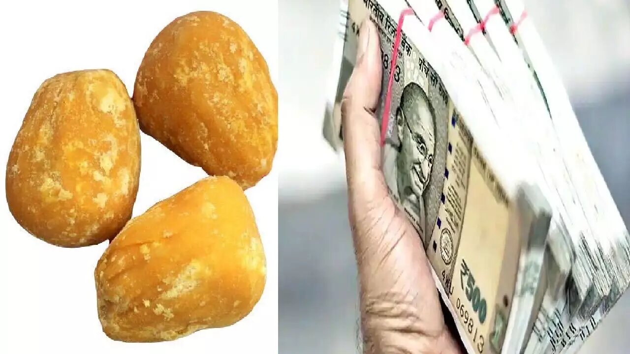 Jeggary And Money