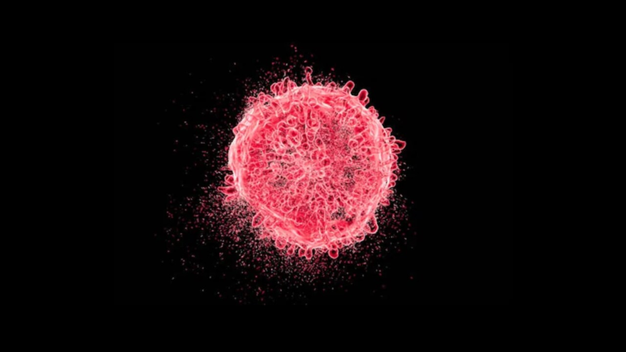 Cells Imresizer
