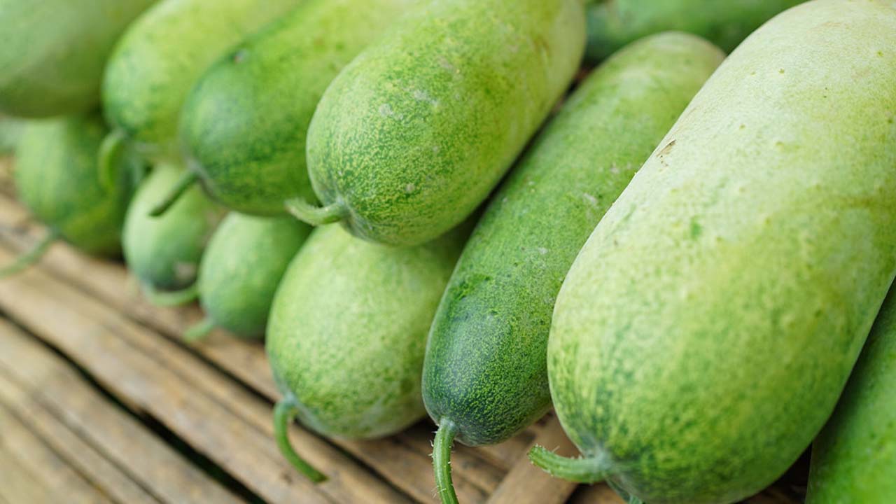 Gourd Health Tips