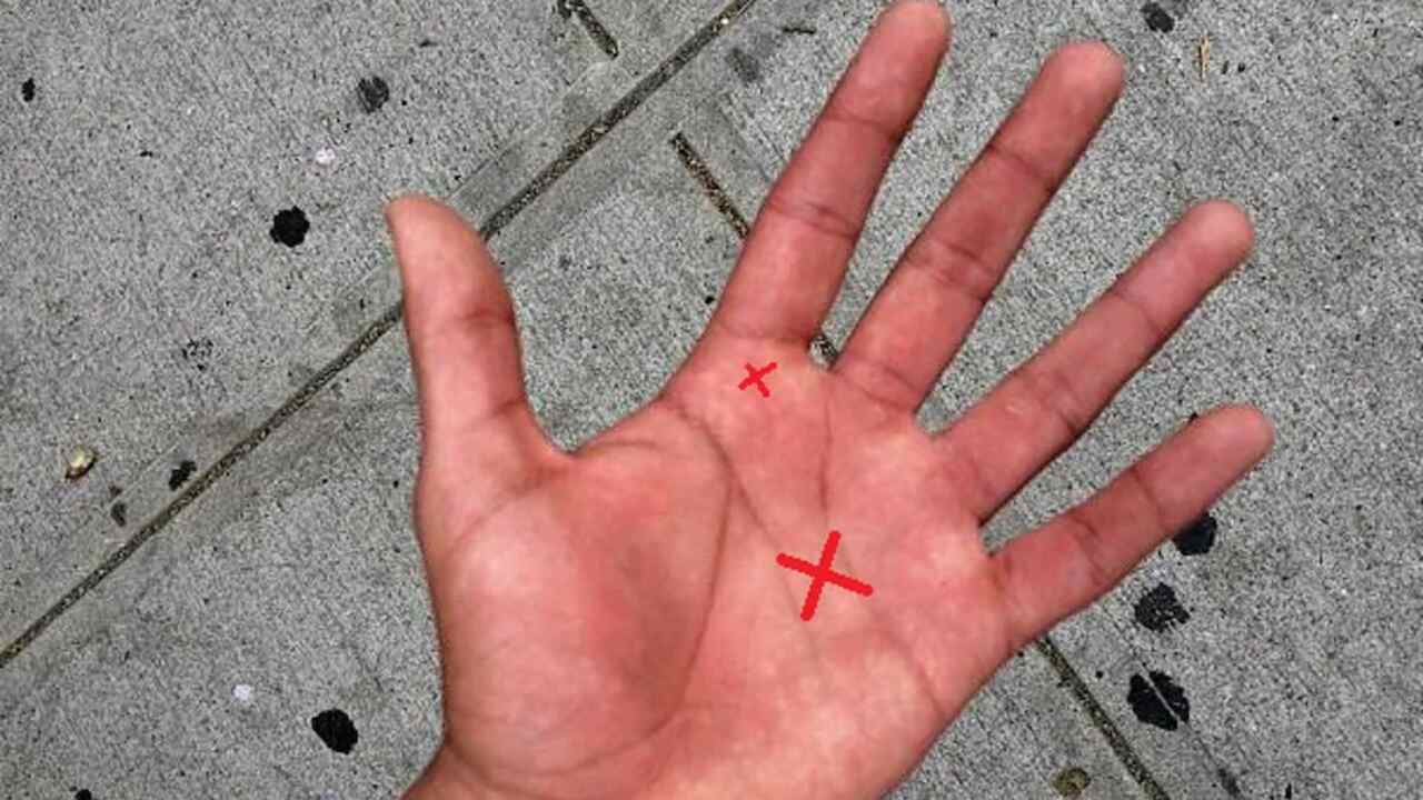 Your Palms